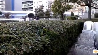 《野花香在线观看免费高清完整版》超清免费在线观看...